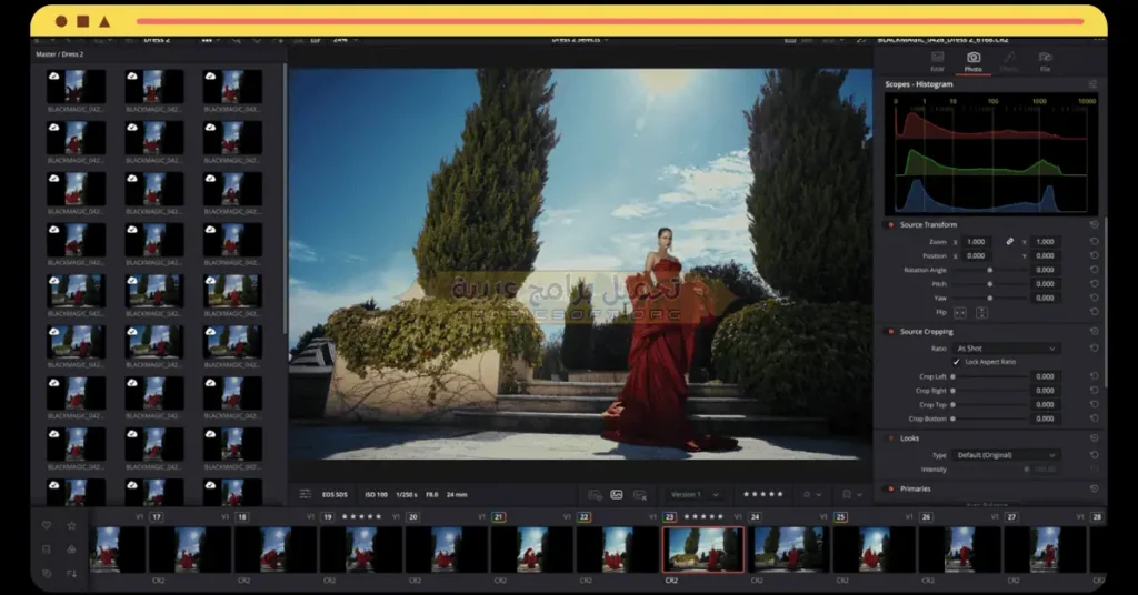 Davinci Resolve-2