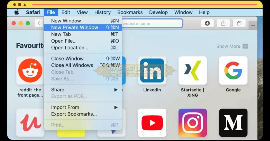 Safari Browser-4
