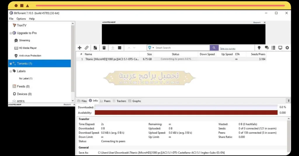 BitTorrent-2